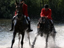 251523_10151090370028585_1280885528_n